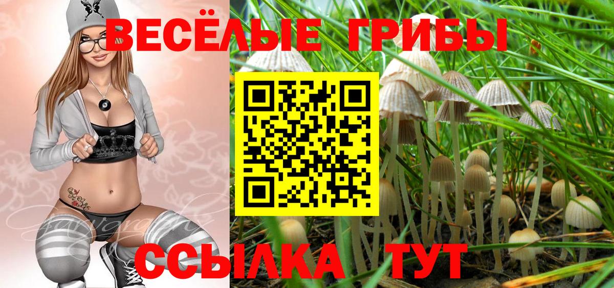 Галлюциногенные грибы мухоморы  Галлюциногенные грибы Psilocybine cubensis  Вход с VPN  Минусинск 
