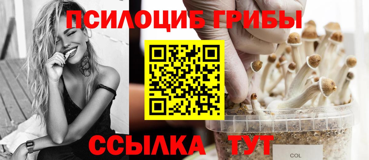Псилоцибиновые грибы Magic Shrooms Минусинск
