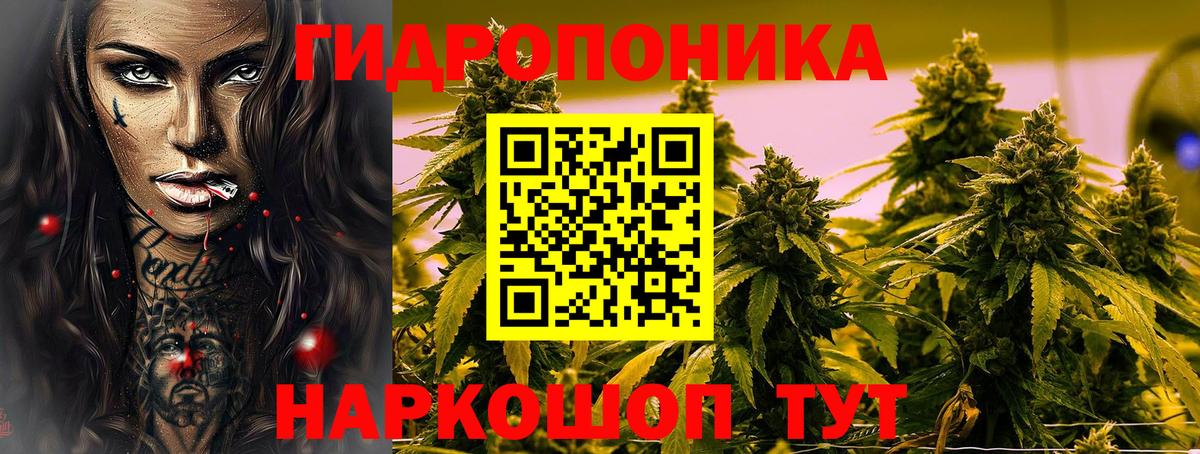 Конопля THC 21%  Вход с VPN  Минусинск  Бошки марихуана OG Kush  Марихуана LSD WEED 